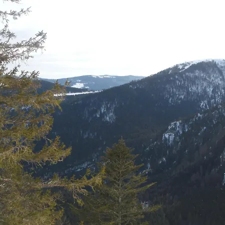 Du Silberwald Avec - Jacuzzi , Acces Privatif Stosswihr