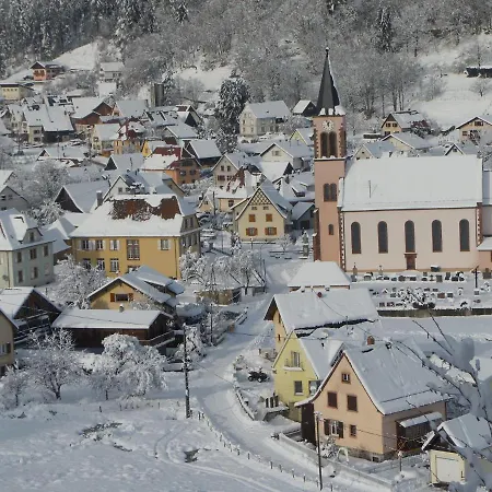 Apartamento Du Silberwald Avec - Jacuzzi , Acces Privatif Stosswihr