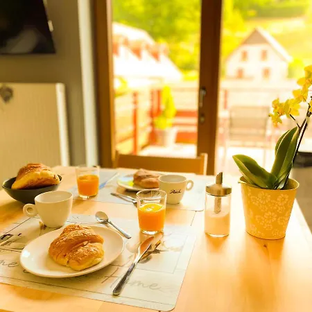Apartamento Du Silberwald Avec - Jacuzzi , Acces Privatif