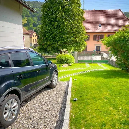 Apartamento Du Silberwald Avec - Jacuzzi , Acces Privatif