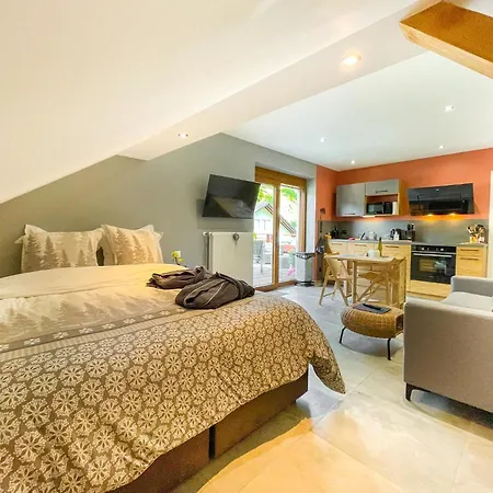 Du Silberwald Avec - Jacuzzi , Acces Privatif Apartamento