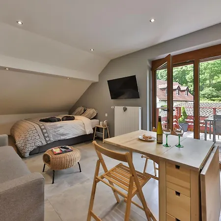 Apartamento Du Silberwald Avec - Jacuzzi , Acces Privatif Stosswihr